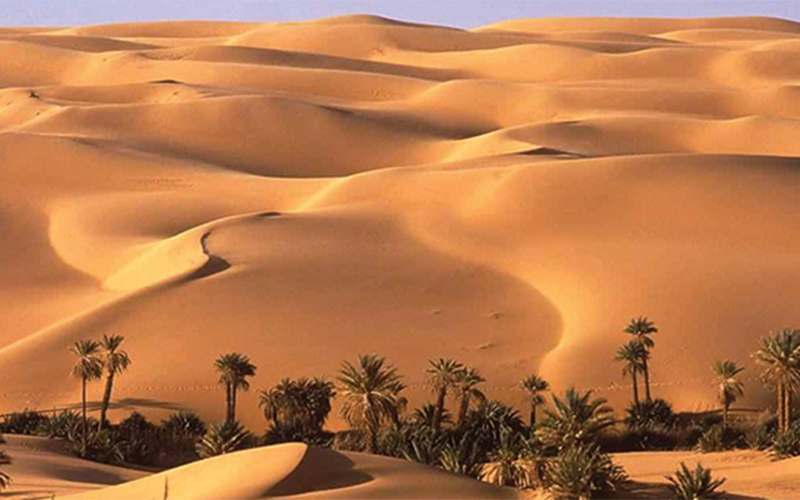 2 Days White Desert and Bahariya Oasis Tour